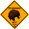 road sign - echidna